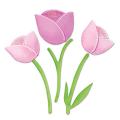Sizzix Originals 'Tulip No.2' Die