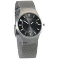 Skagen Men's Titanium Mesh Band Watch
