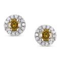 14k White Gold 3/5ct TDW Cognac and White Diamond Earrings (G-H, SI2)
