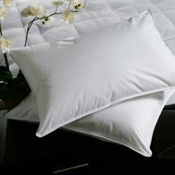 Plush Top Goose Feather Pillows (Set of 2)