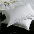 Plush Top Goose Feather Pillows (Set of 2)