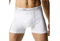 Hanes Cotton Boxer Briefs Value Pack (Pack of 4)