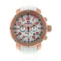 TW Steel Men's Classic Watch