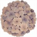 Hand-tufted Pink Bloom Rug (4' x 4')
