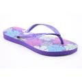 Havaianas Women's Slim Allegra Purple Sandals