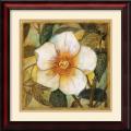 Danson 'White Magnolia I' Framed Art Print