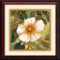 Danson 'White Magnolia II' Framed Art Print