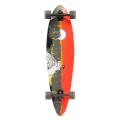Quest 2012 Classic-style Pintail Longboard Skateboard with Wheel Wells