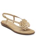 A2 by Aerosoles Women's 'Chloverleaf' Tan Flower Gladiator Sandals