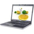 Dell D820 C2D 2.GHz 80GB 15-inch Laptop (Refurbished)
