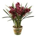 Fuchsia Orchid 47-inch Tall Potted Plant