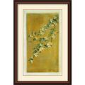 Paris Gerrard 'Plum Blossoms II' Framed Art Print