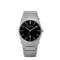 Skagen Men's Stainless Steel Watch