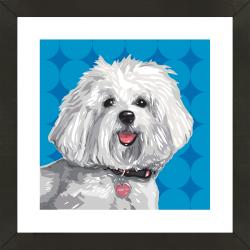 Framed Bichpoo Giclee Print Photo