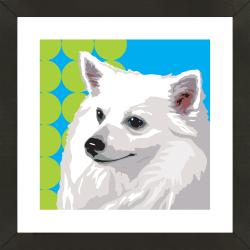 Framed American Eskimo Giclee Print Photo