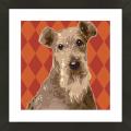 Framed Airedale Terrier Giclee Print Photo