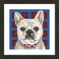 Framed French Bulldog Giclee Print Photo