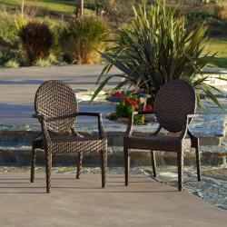 Christopher Knight Home Adriana PE Wicker Outdoor Chairs (Set of 2)