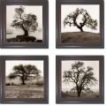Alen Blaustein 'Oaks and Willow Trees' 4-piece Canvas Art Set