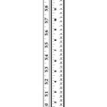 Embossing Folder Border 2.5"X12"-Ruler