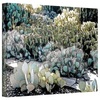 Linda Parker 'Desert Botanical Garden' Gallery-Wrapped Canvas