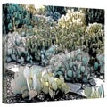 Linda Parker 'Desert Botanical Garden' Gallery-Wrapped Canvas