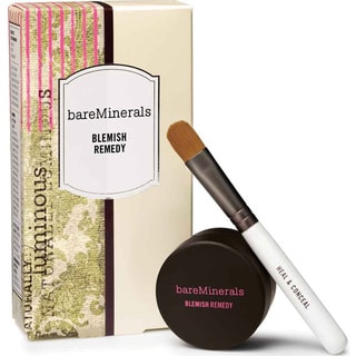 bareMinerals Blemish Therapy Remedy and Brush