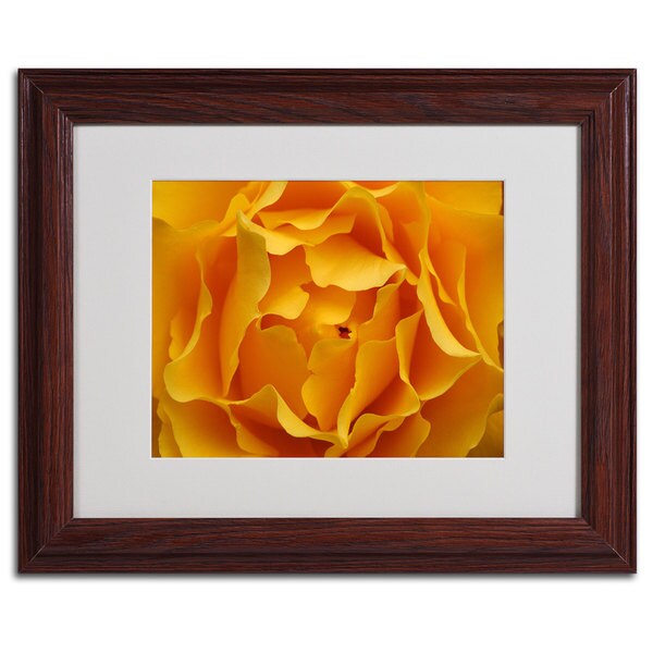 Kurt Shaffer 'Hypnotic Yellow Rose' Framed Matted Art