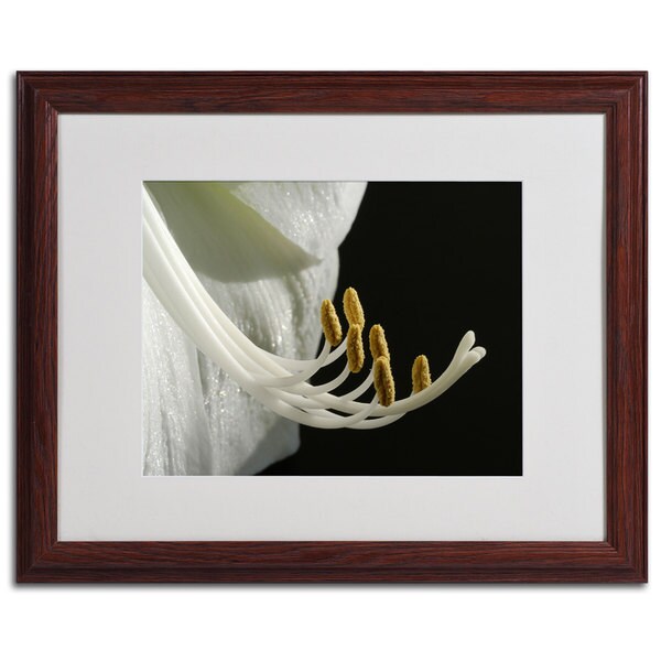 Kurt Shaffer 'Intimate Amaryllis' Traditional Framed Matted Art