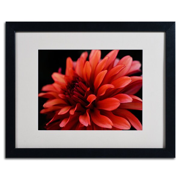 Kurt Shaffer 'Red Dahlia' Framed Giclee Print Matted Art