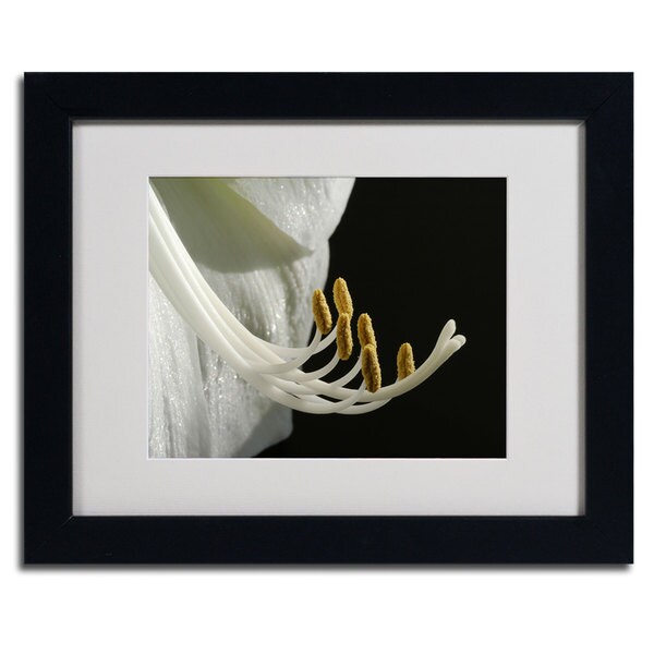 Kurt Shaffer 'Intimate Amaryllis' Framed Matted Art