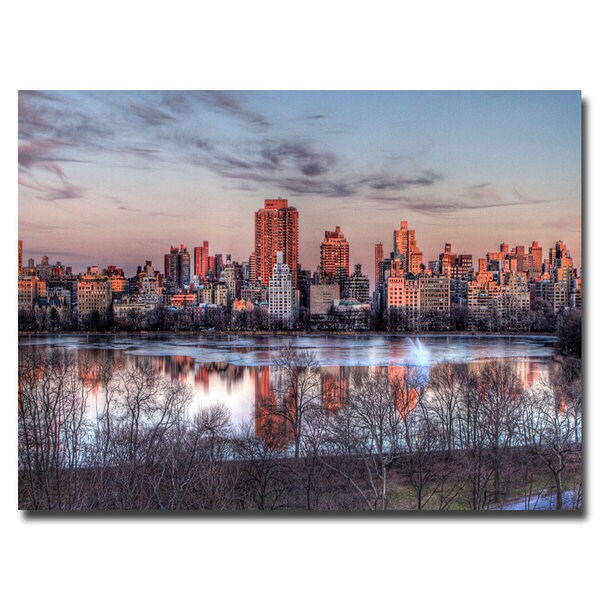 Ariane Moshayedi 'Pink Park' Canvas Art