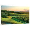 Steve Ainsworth 'Hill-Top Vineyard' Gallery-Wrapped Canvas