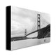 Ariane Moshayedi 'Cavallo Point' Canvas Art