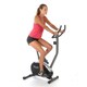 Avari U110 Magnetic Upright Bike