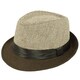 Faddism Unisex Fashion Fedora Hat