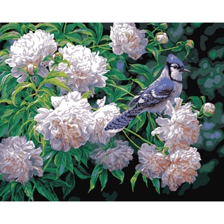 Paint By Number Kit 16"X20"-Blue Jay & Blossoms