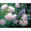 Paint By Number Kit 16"X20"-Blue Jay & Blossoms