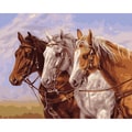 Paint By Number Kit 16"X20"-Three Of A Kind