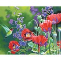 Paint By Number Kit 11X14in-Hummingbird And Poppies
