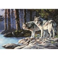Paint By Number Kit 20"X14"-Gray Wolves