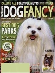 Dog Fancy, 12 issues for 1 year(s)