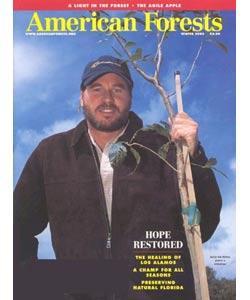 American Forests, 4 issues for 1 year(s)