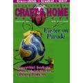 Decorating Digest Craft & Home, 6 issues for 1 year(s)
