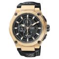 Citizen Men's Eco-Drive Sport Goldtone Watch