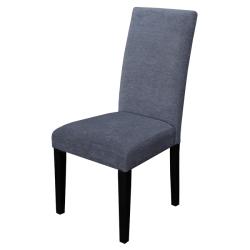 Aprilia Smokey Blue Upholstered Dining Chairs (Set of 2)