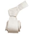 Republic Men's Dotted Cream Tie