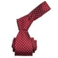 Republic Men's Dotted Red Tie