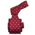 Republic Men's Dotted Red Tie