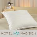 Hotel Madison 1000 Thread Count Decorative Square Pillows (Set of 2)